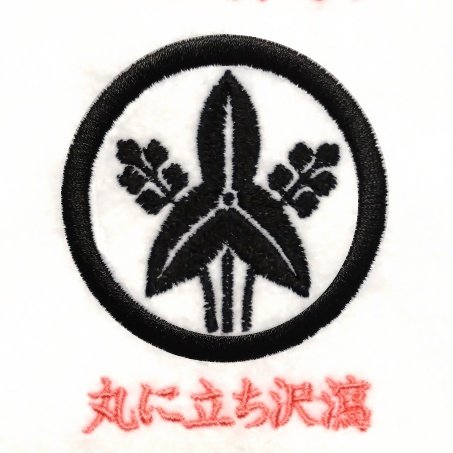 丸に立ち沢瀉 | 家紋 Janpanese Family Crest