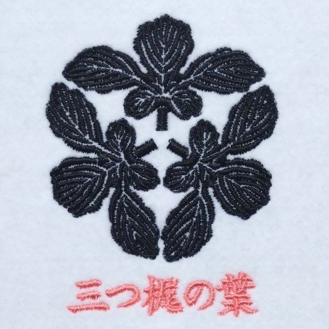 今だけの限定セール 家紋の基となった「梶」について解説しています。 | 植物紋 葉