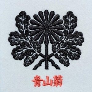 青山菊