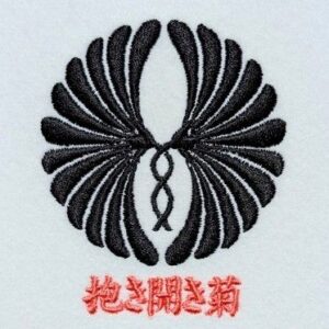 抱き開き菊