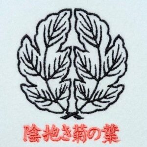 陰抱き菊の葉