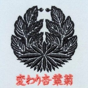 変わり杏葉菊