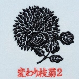 変わり枝菊2
