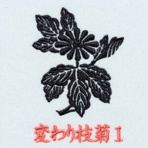 変わり枝菊1