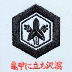 亀甲に立ち沢潟