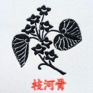 枝河骨