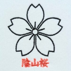 陰山桜